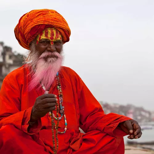 Best of India Guided Tour