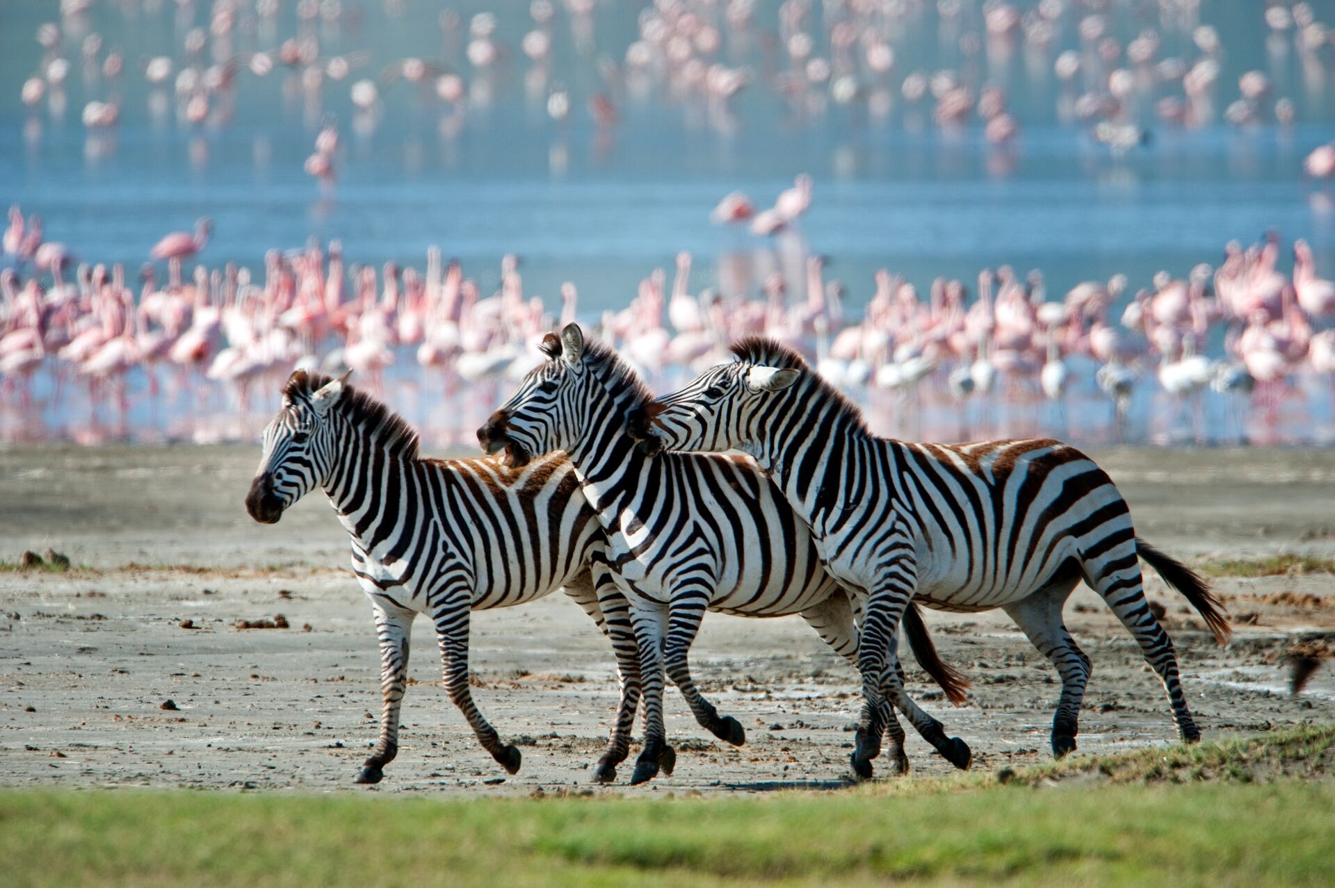 Tanzania Tour Packages & Tanzania Travel Guide | Trafalgar US