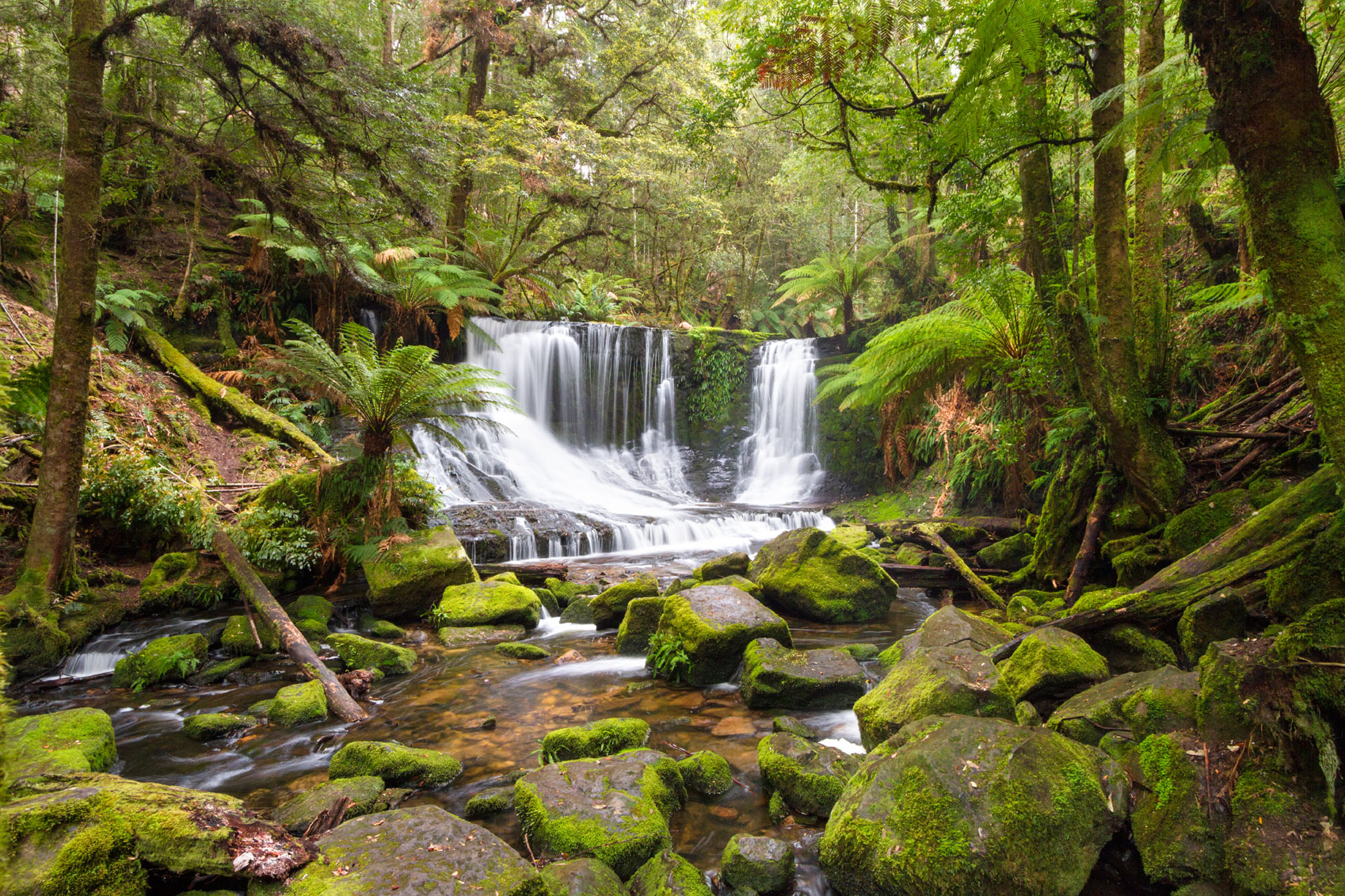 Discovering Tasmania's Natural Beauty 