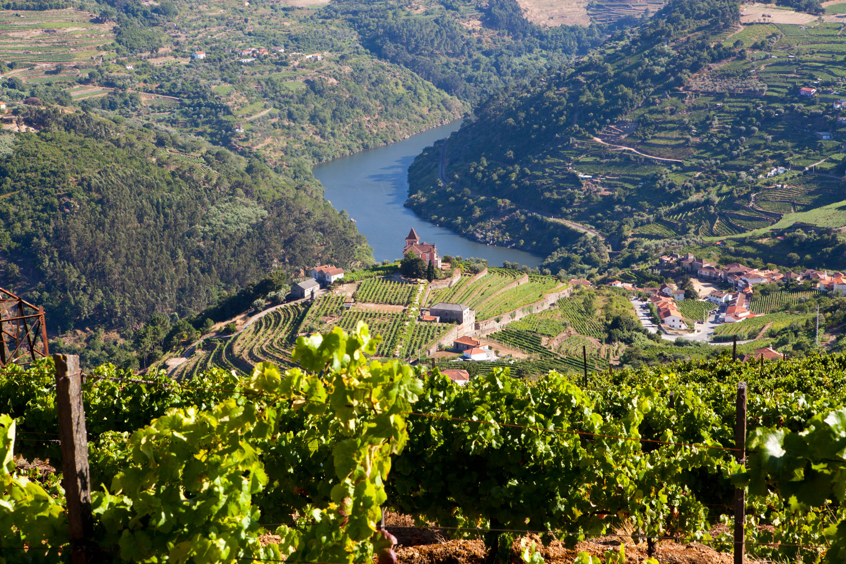 Port Wine in Portugal