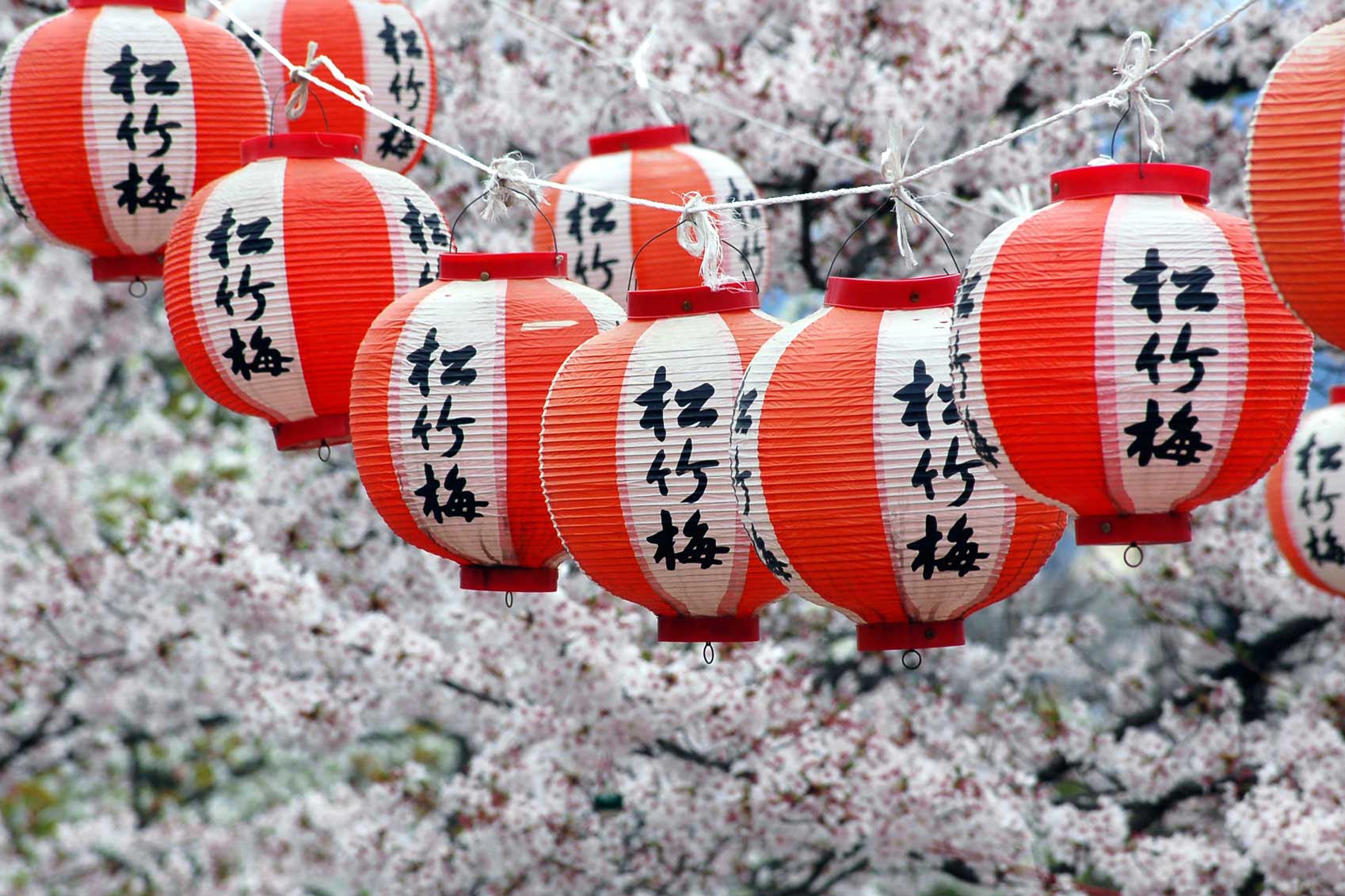 where-to-see-cherry-blossom-in-japan-real-word