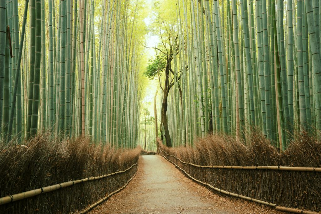 Beautiful Japanese landscapes to visit before you die - Real Word