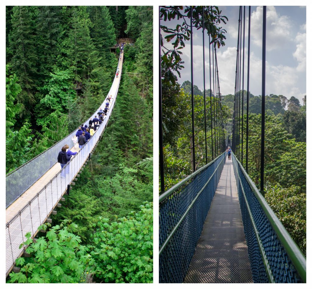 Capilano Bridge & Cloud Forest Bridge in Costa Rica