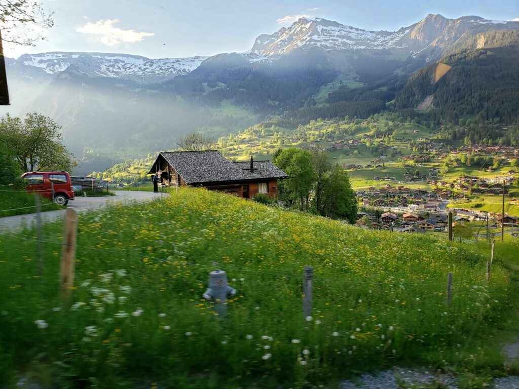 A landscape view of Grindelwald and mountains in the background. Spring flowers blossom in the foreground