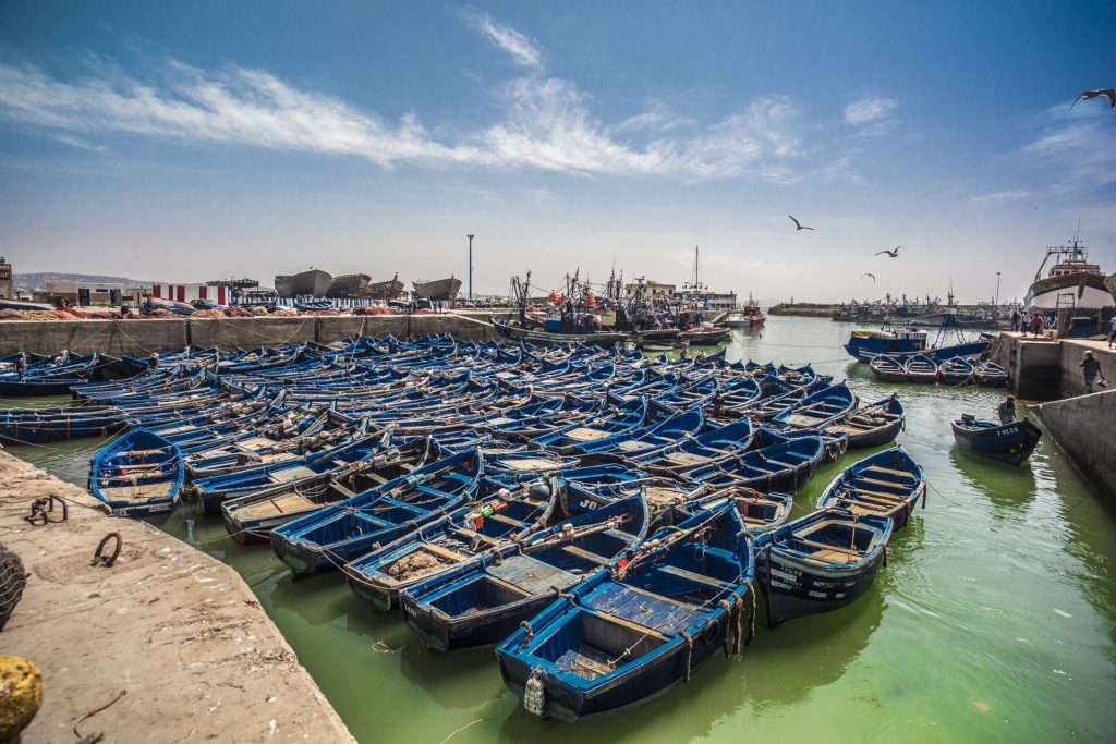 blue fishing boats Essaouira Morocco