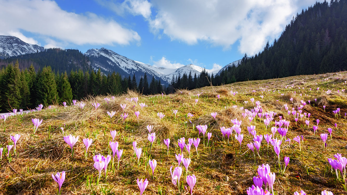 Slovakia's Tatra Mountains in spring time are a sight you need to see