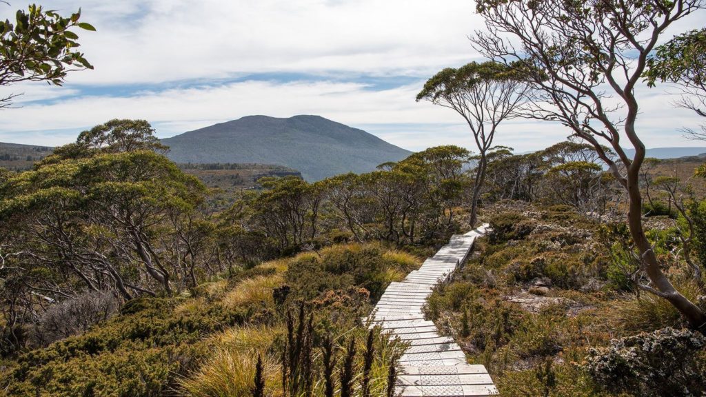 walking trail tasmania australia