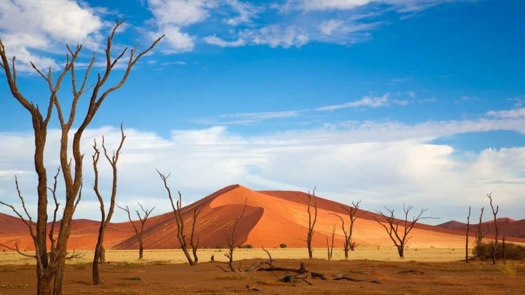 red sand dunes namib desert sossusvlei namibia