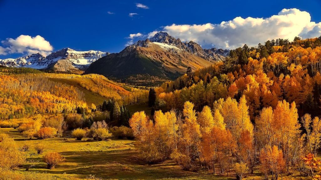 autumn foliage mountains colorado USA