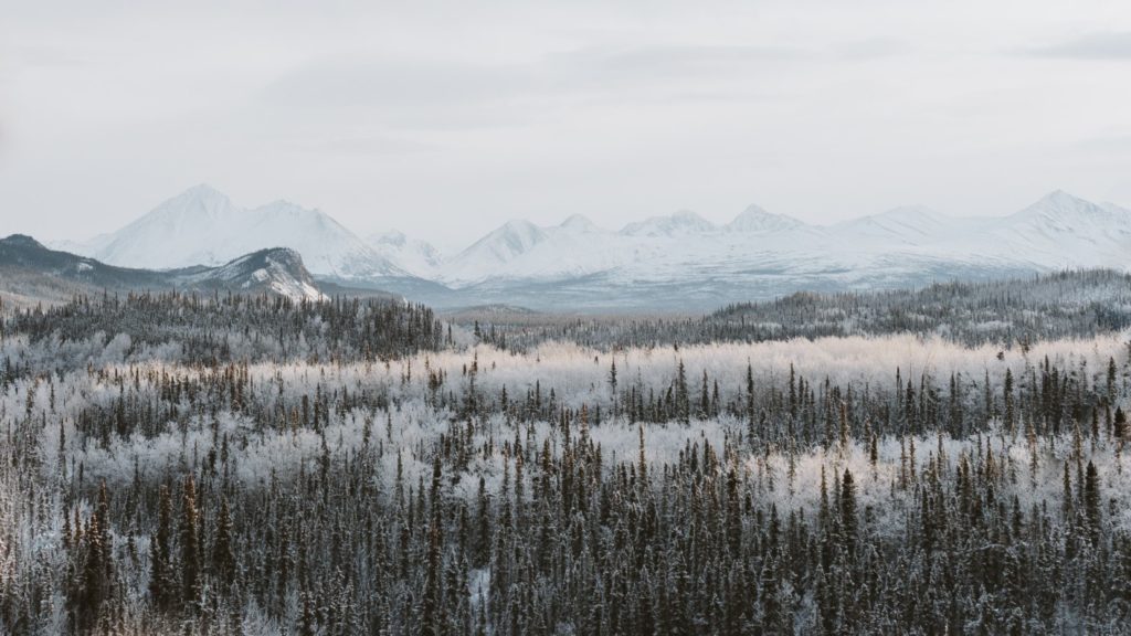 Denali National Park in winter