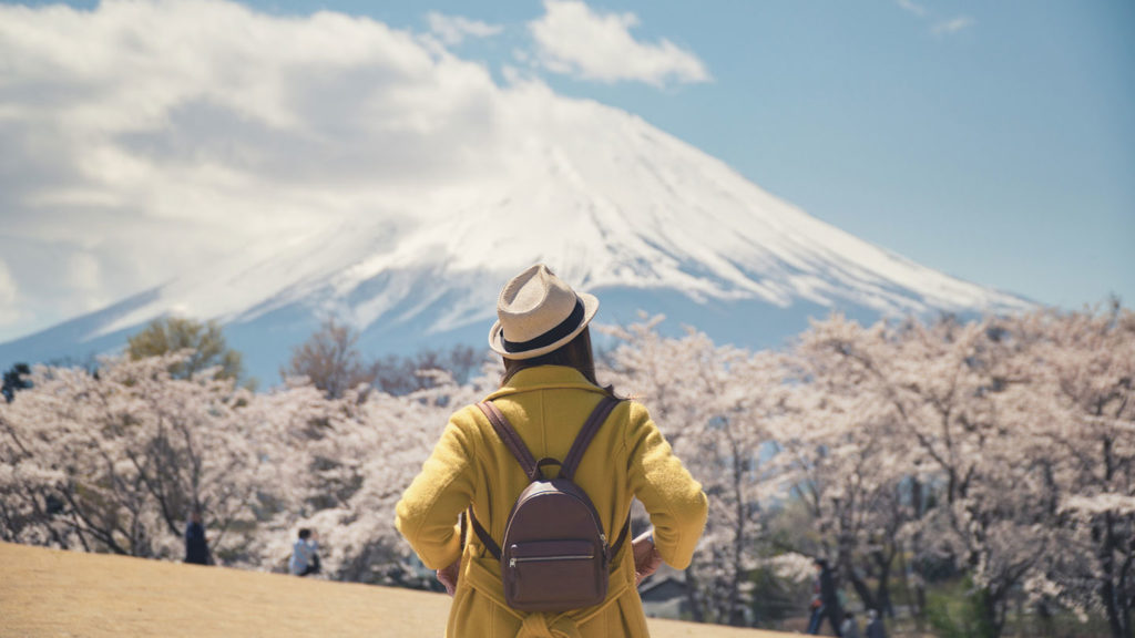 Mount Fuji cherry blossom season in Japan