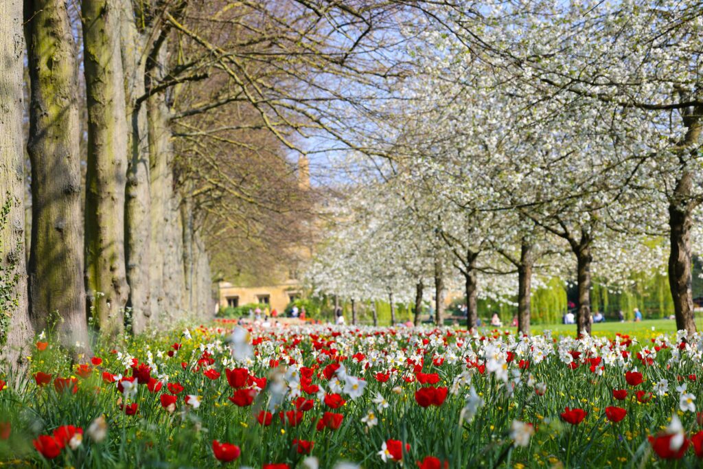 oxford college in the spring