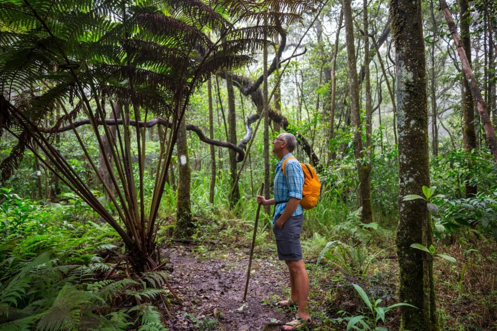 Well-fitted footwear is a non-negotiable when hiking through Asia's rainforests