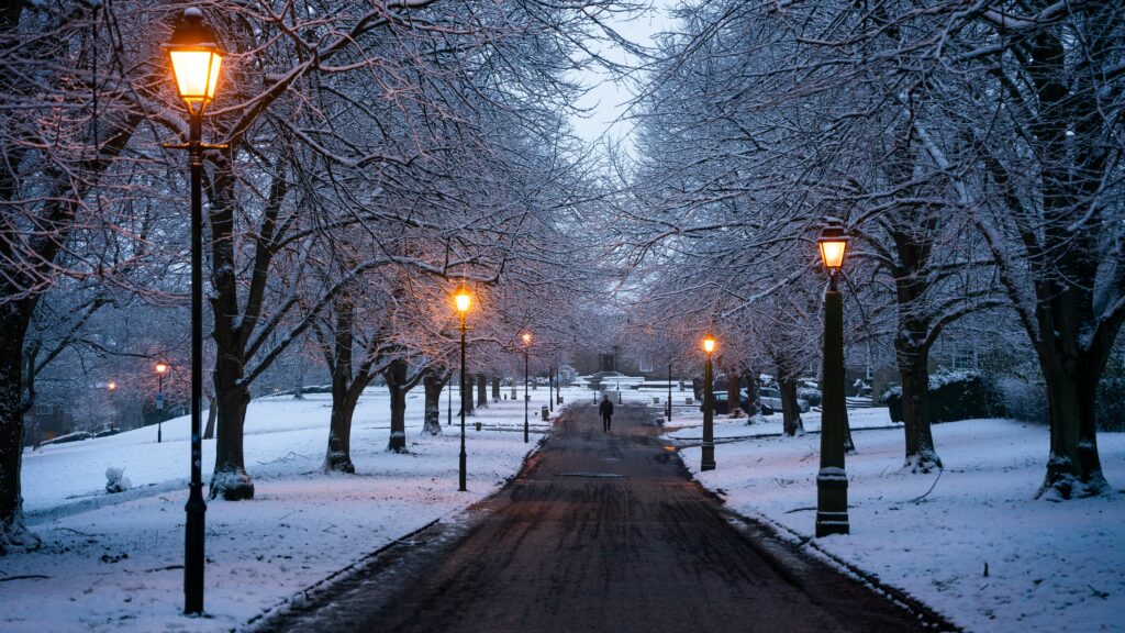 Durham park in the snow