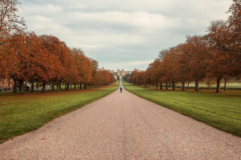 windsor castle in the autumn