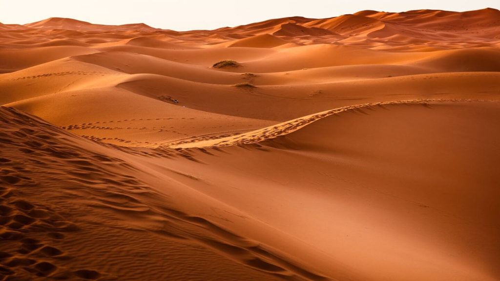 Undulating sand dunes with track marks under a warm-toned light, reminding one of what to pack for Morocco.