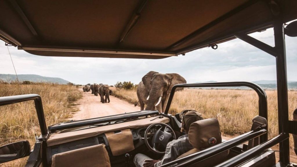 safari jeep watching a herd of elephants pass by Africa