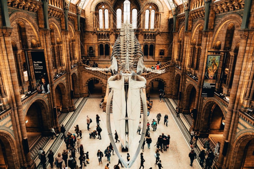 Natural History Museum, Exhibition Road, London