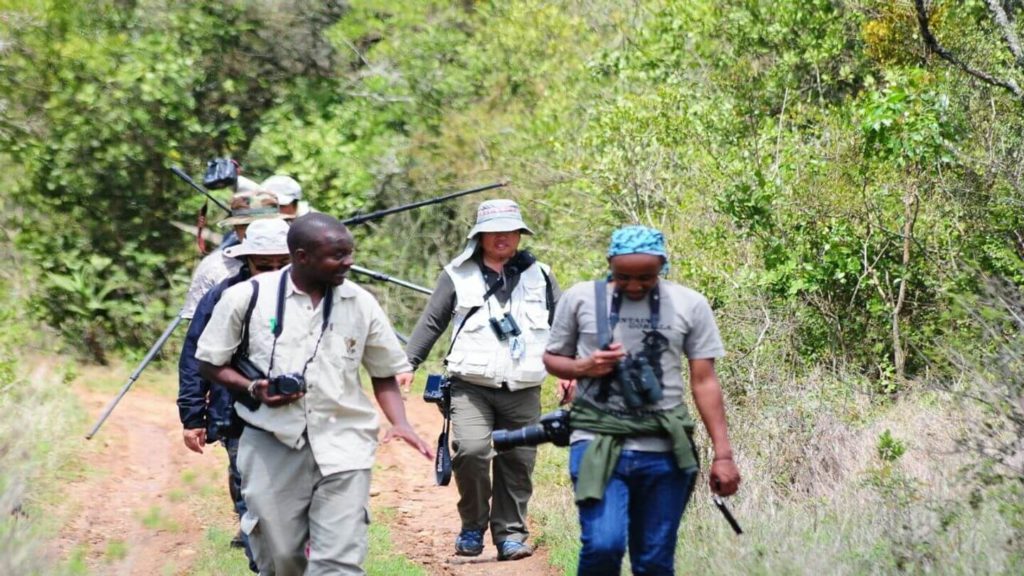 Safari guide with travellers walking through the bush