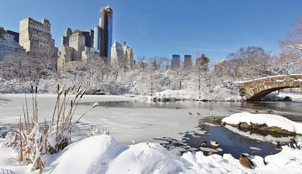 snow covering New York City United States