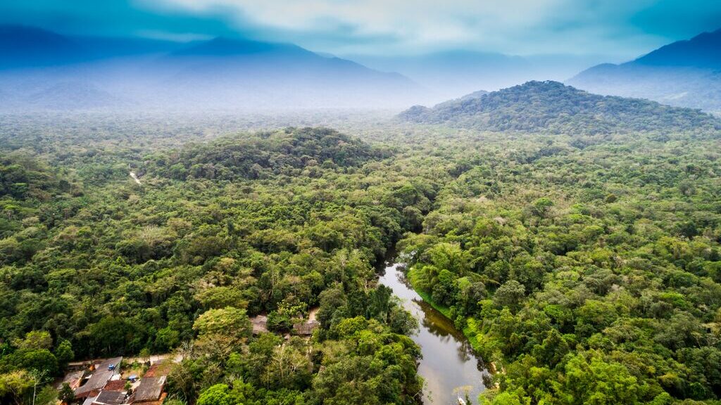 Aerial view of the Amazon Rainforest with river in Brail