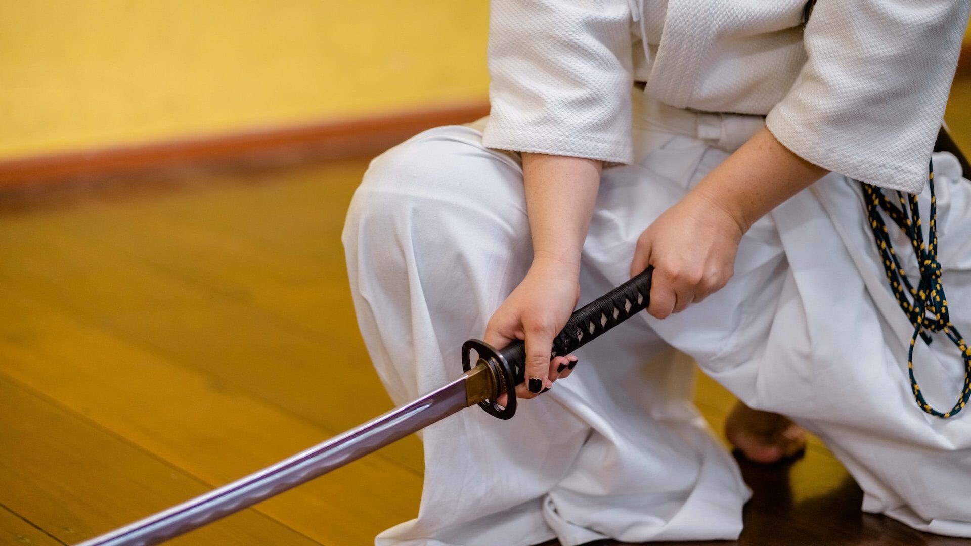 martial arts kneeling with sword