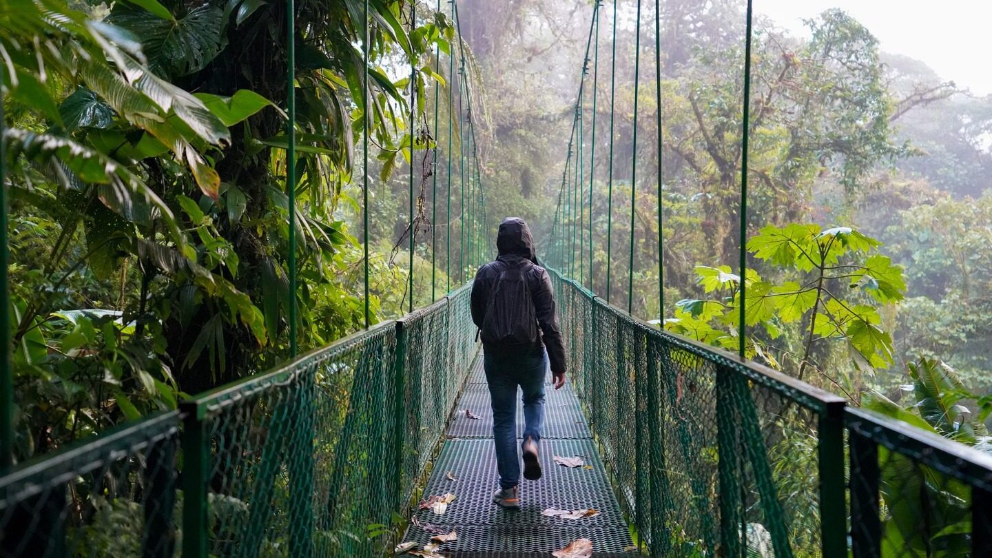 traveller walking over hanging bridges of the cloud forest in Costa Rica