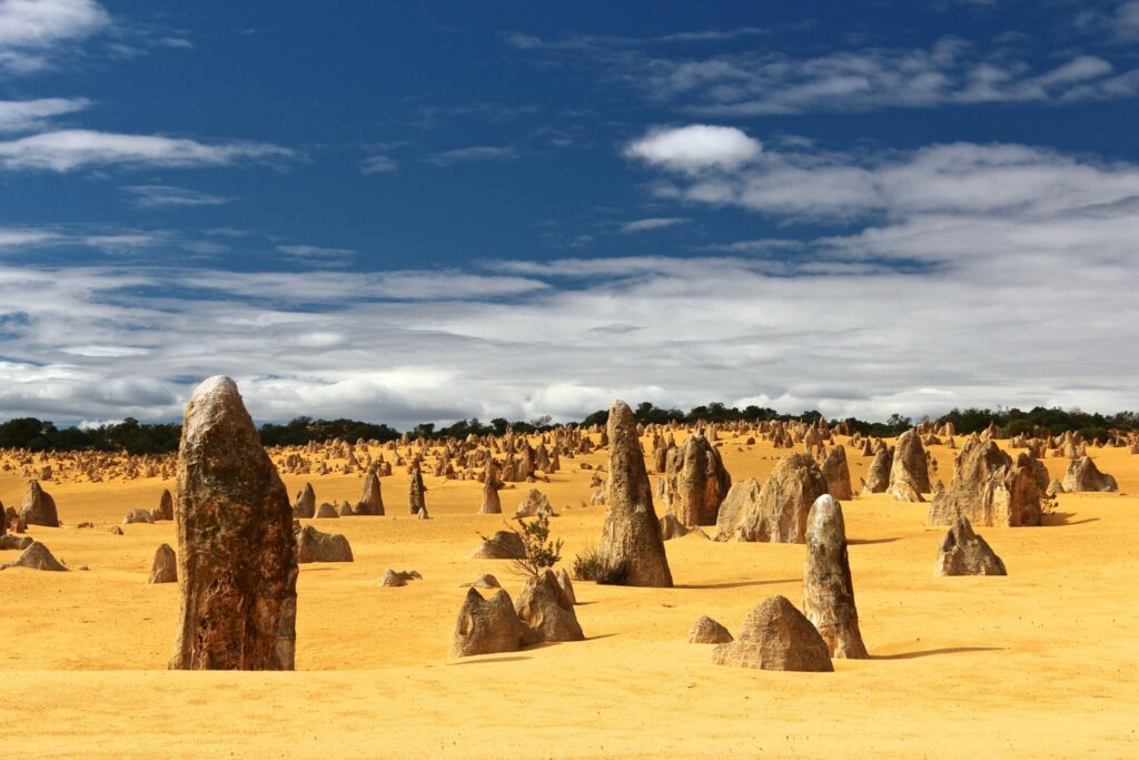 limestone pillars rising from yellow sand at the Pinnacles in Western Australia