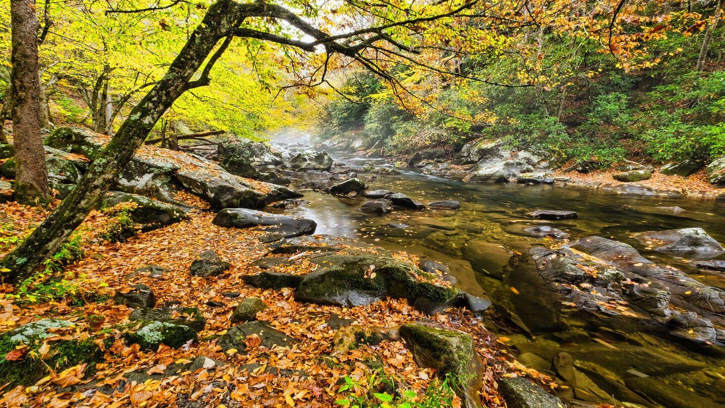 11 best National Parks for families that you can visit this year