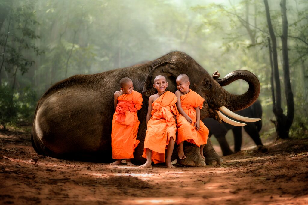 Three boy monks laughing while leaning on a baby elephant, which is lying down on the forest floor.