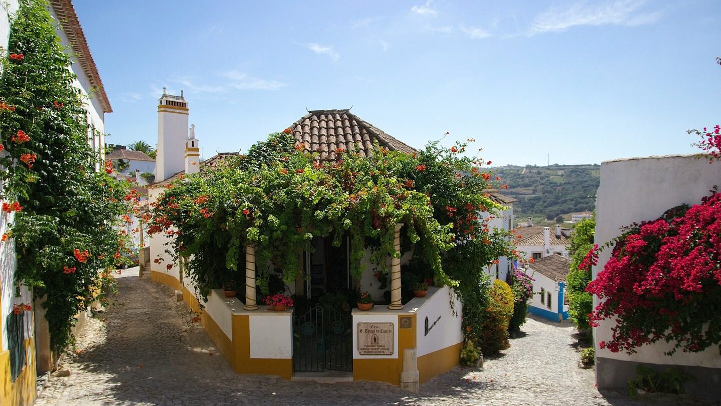 spring blooms in Obidos Portugal